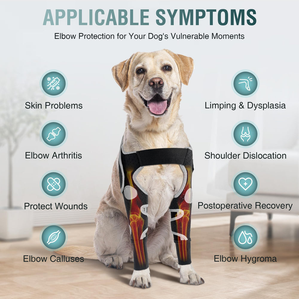 Brace pour patte avant du chien, respirant et maintien léger.