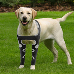 Attelle KISFLY pour coude du chien, protège les plaies et évite le léchage.