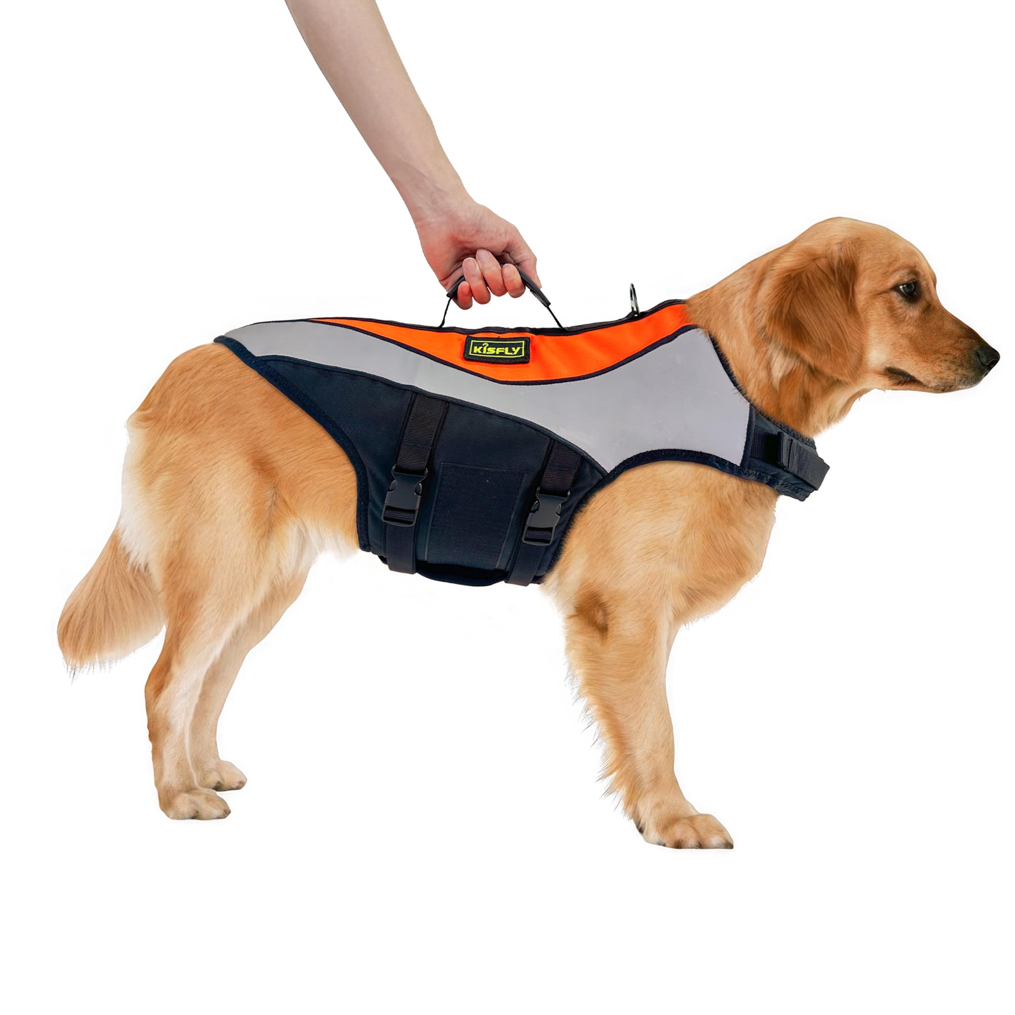 Gilet KISFLY pour chien en vue frontale, confort et visibilité pour sorties nautiques.