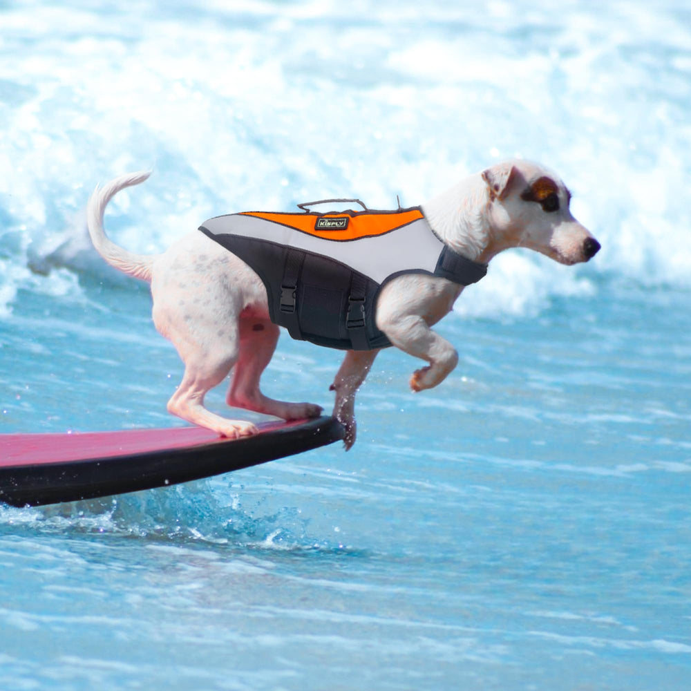 KISFLY veste chien orange réfléchissante XS pour nage et visibilité accrue.