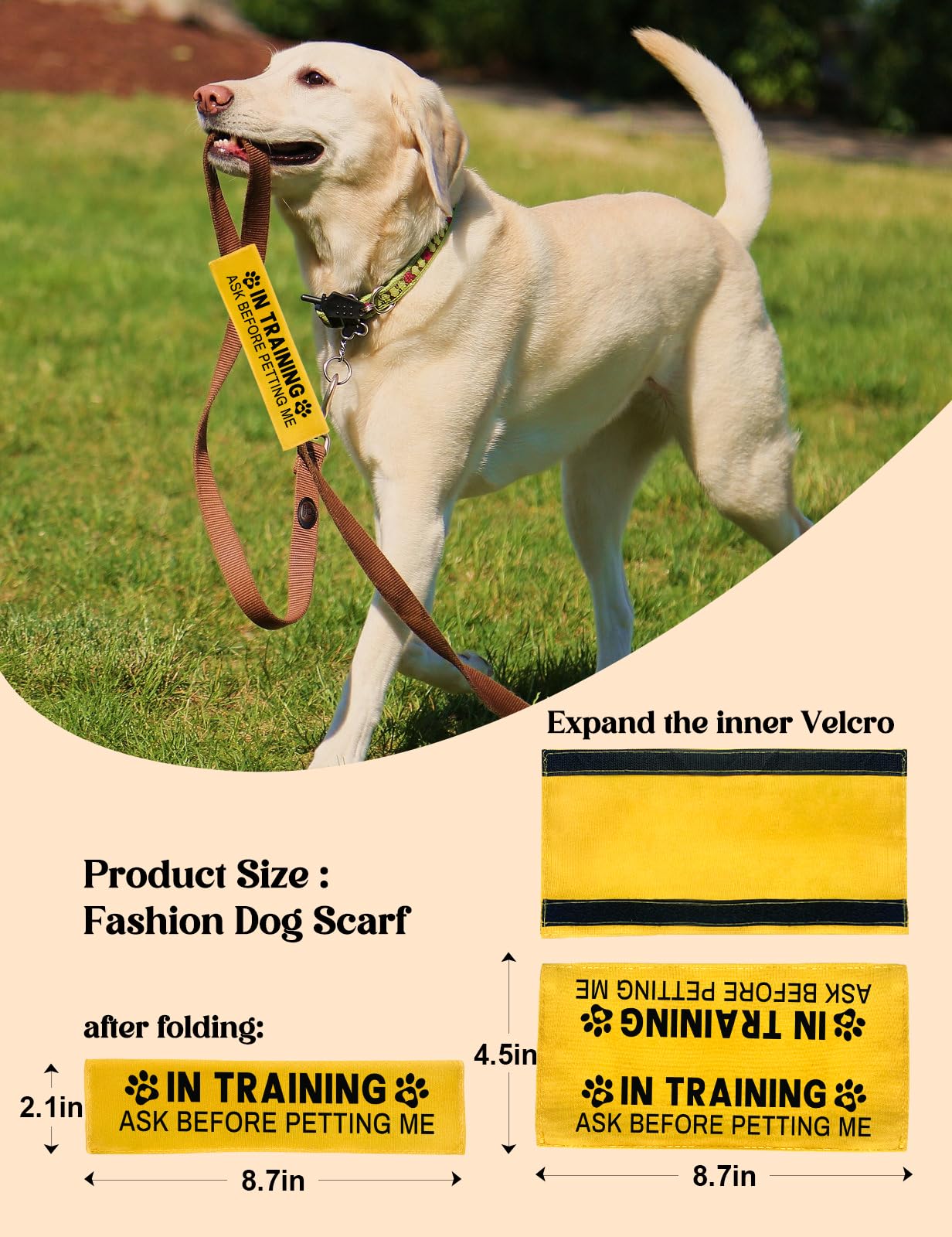 KISJO cadeau-anniversaire-chien idée cadeau utile pour les propriétaires