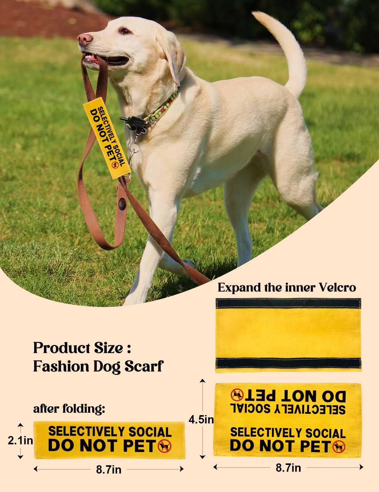 KISJO Patch jaune pratique pour repérer rapidement le comportement du chien.