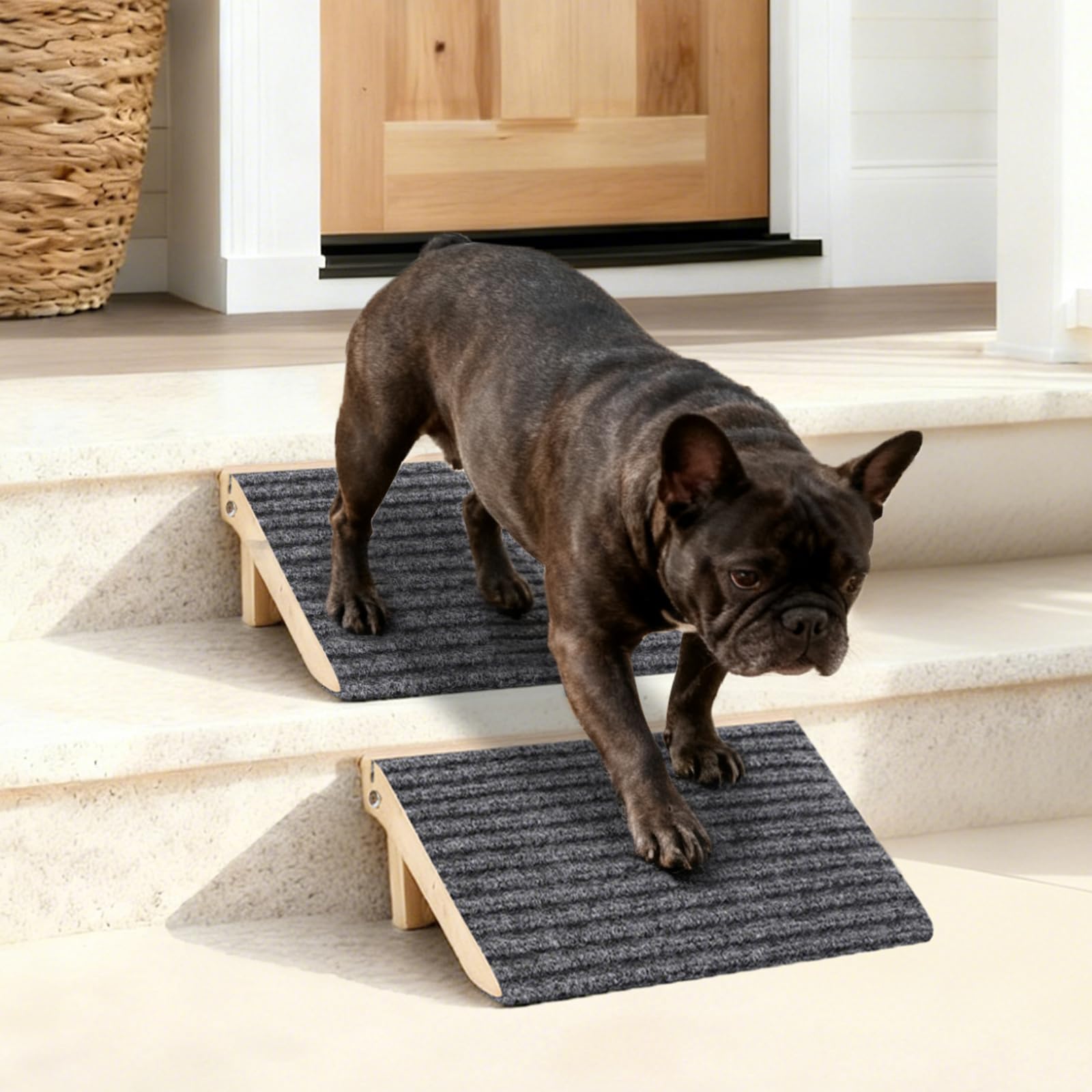 KISIMUY rampe pour chien avec surface antidérapante facilitant montée et descente