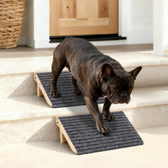 KISIMUY rampe pour chien avec surface antidérapante facilitant montée et descente