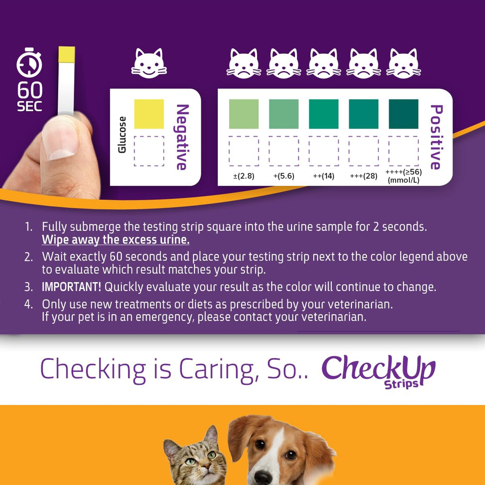 KIT4CAT CheckUp lecture-resultats: interprétation visuelle rapide des niveaux.