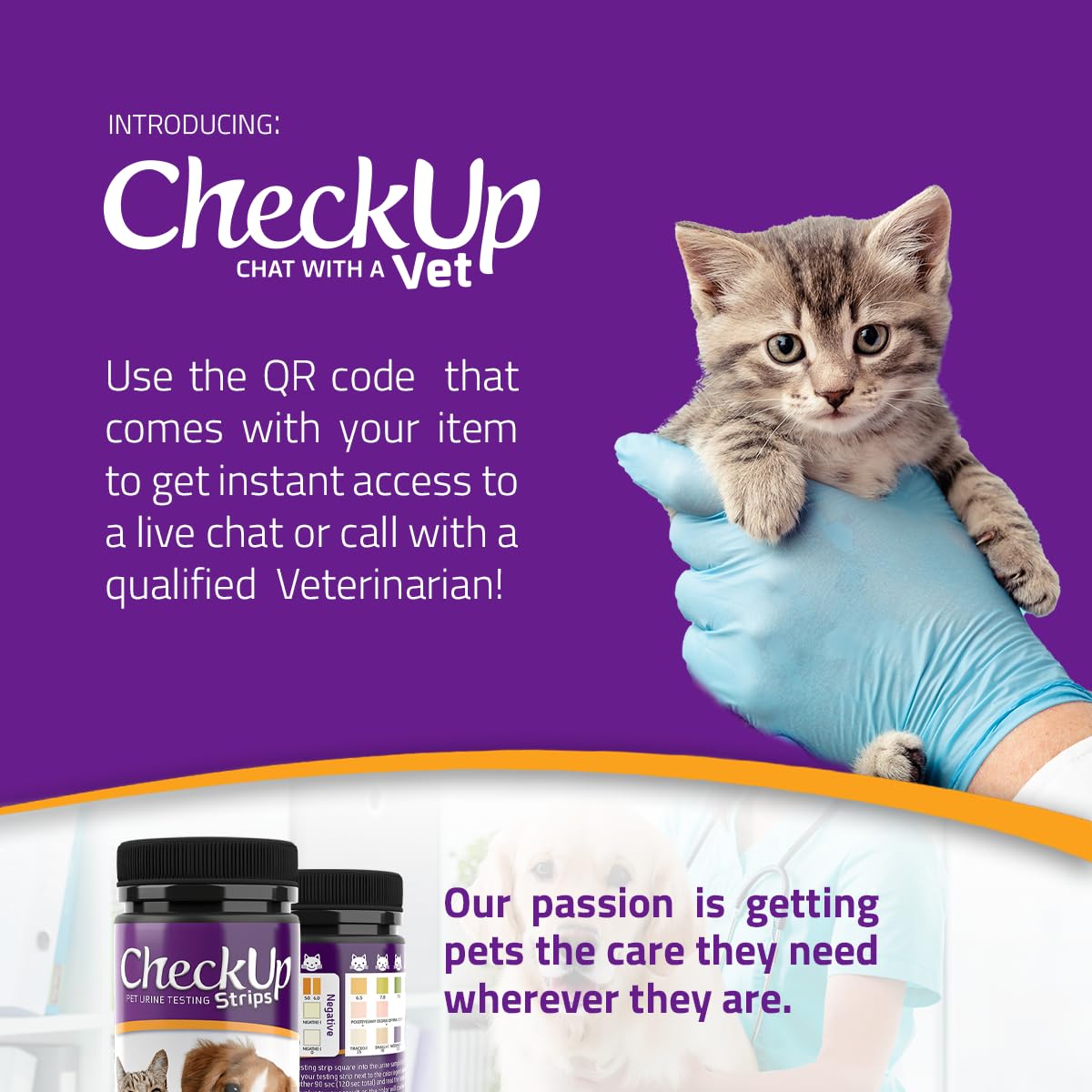 KIT4CAT CheckUp rapidité-60-secondes: résultats en un clin d'œil.
