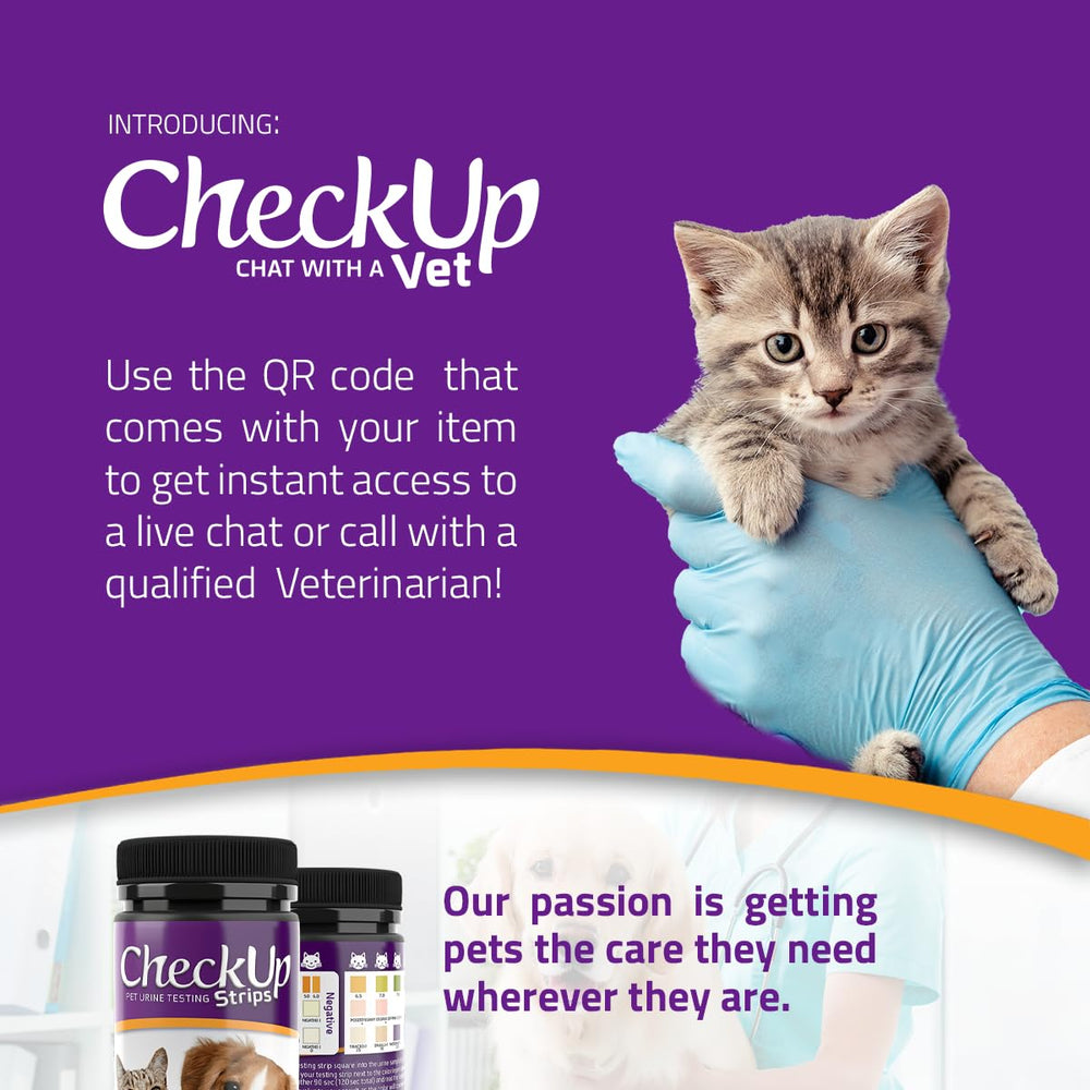 KIT4CAT CheckUp rapidité-60-secondes: résultats en un clin d'œil.