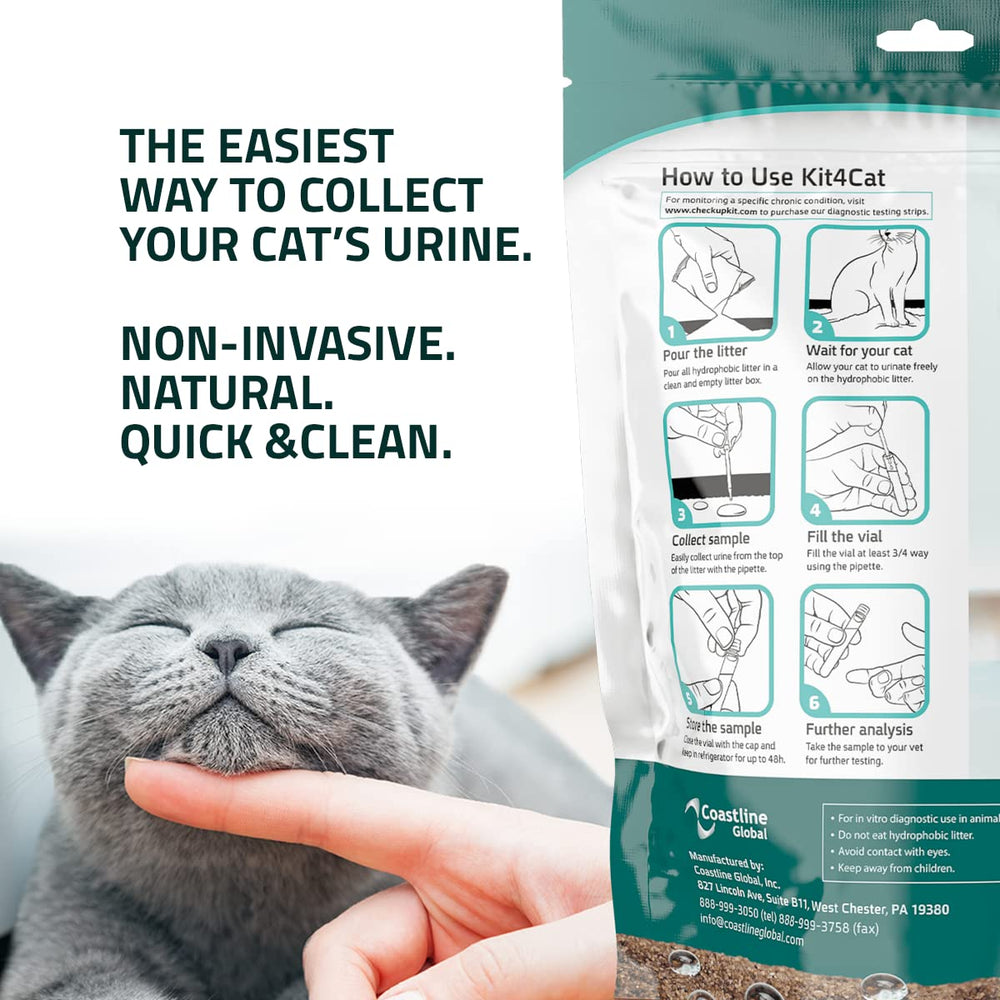Kit4Cat collecte urine non invasive à domicile, réduction de stress pour votre chat