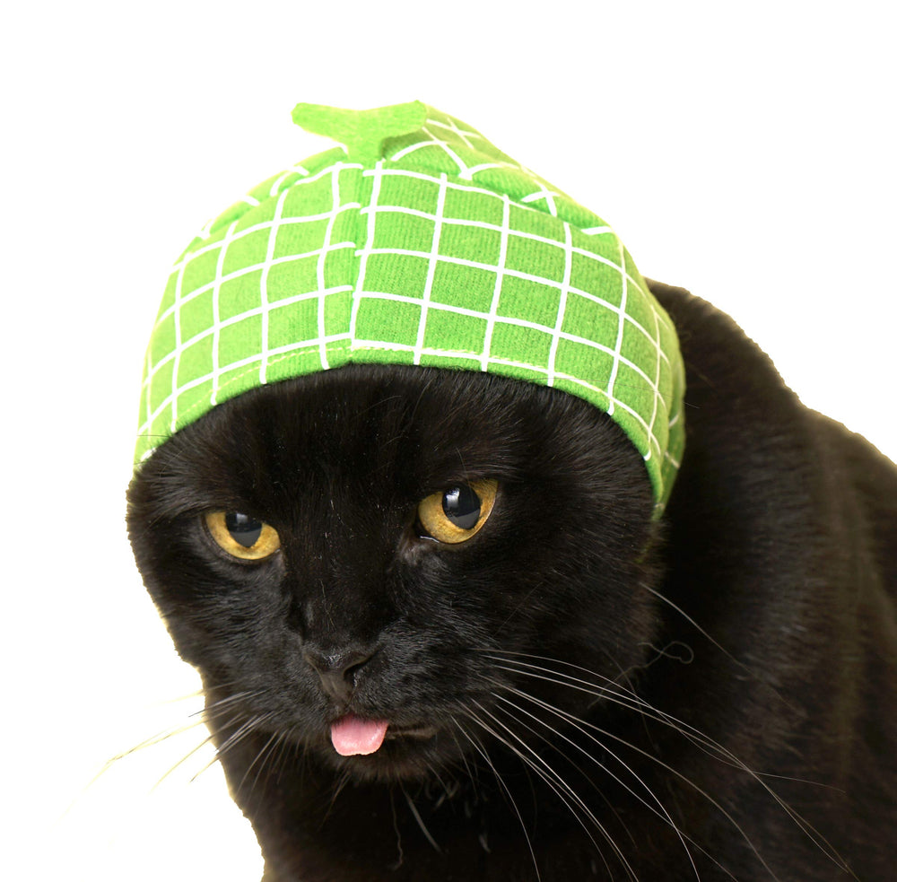 Chapeau chat Kitan Club design japonais, style authentique.