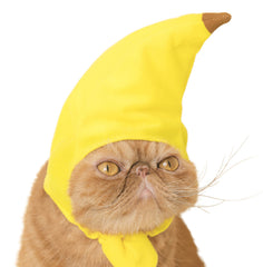 Chapeau chat Kitan Club fruit ananas, couleur vive et maintien stable.