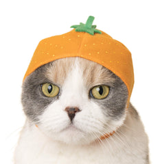 Chapeau chat Kitan Club fruit fraise, allure mignonne et protection légère.