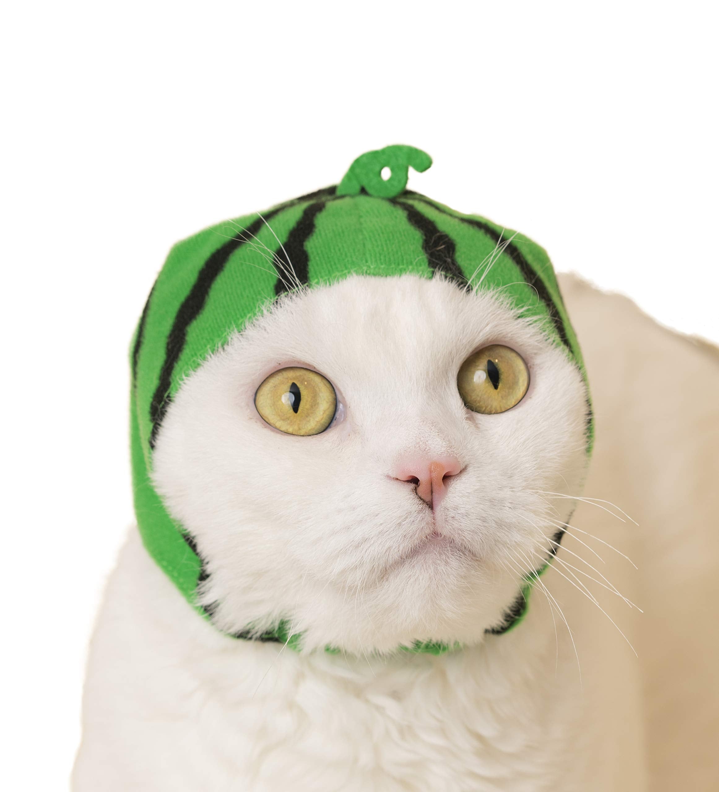 Chapeau chat Kitan Club fruit raisin, touche ludique et sécurité en sortie.