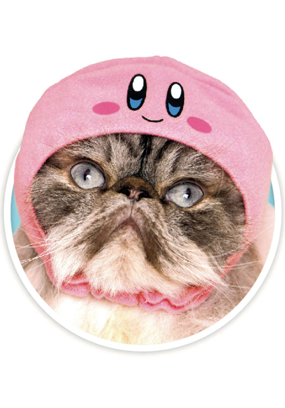 Kitan Club Cat Cap Kirby Content, style mignon et confort pour vos sessions photo