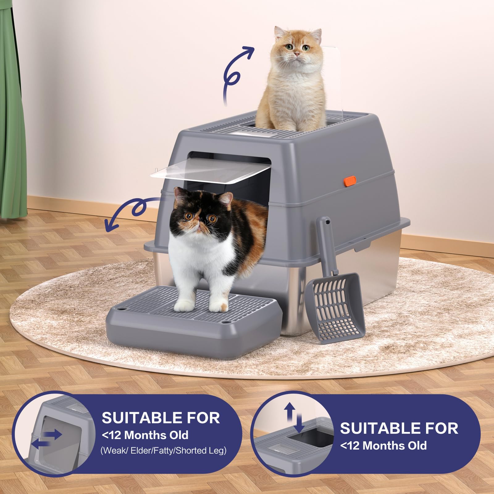 KITCATY bac litière XXXL rehausse-pieds aide les chats âgés à entrer.