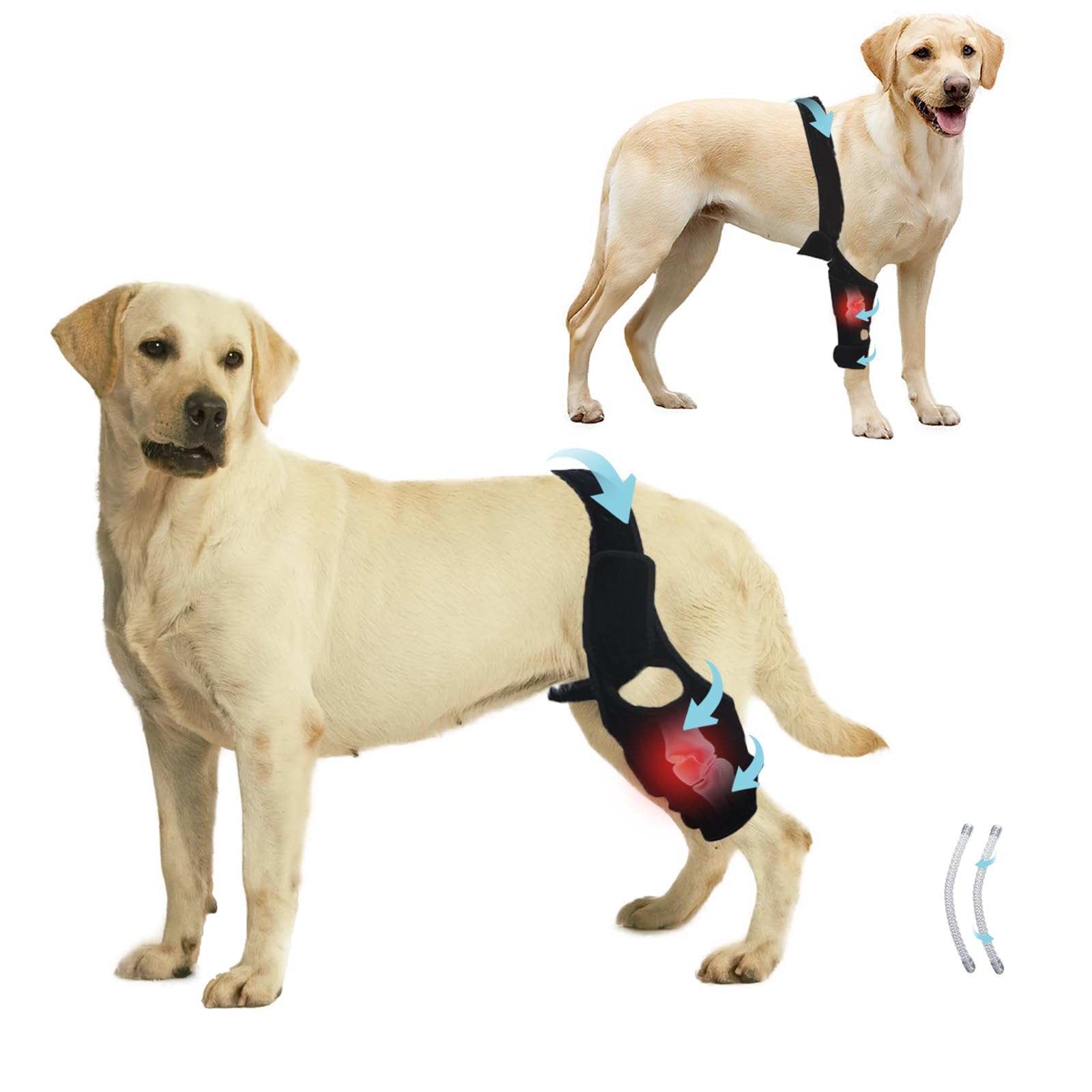 KitchMingle brace-genou-chien-arriere: soutien stable pendant les promenades.