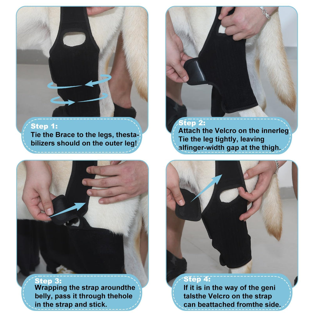 KitchMingle brace-genou-chien-arriere: maintien des activités quotidiennes sans restriction.