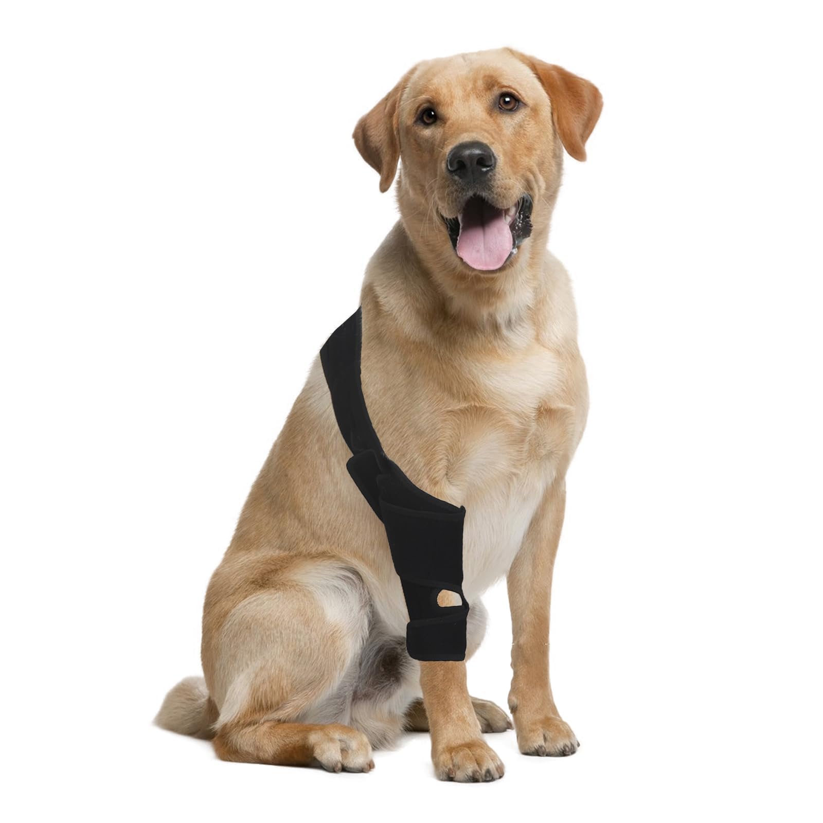 KitchMingle protection-articulations-genou-chien-arriere: réduction potentielle de l'inconfort.