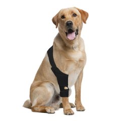 KitchMingle protection-articulations-genou-chien-arriere: réduction potentielle de l'inconfort.