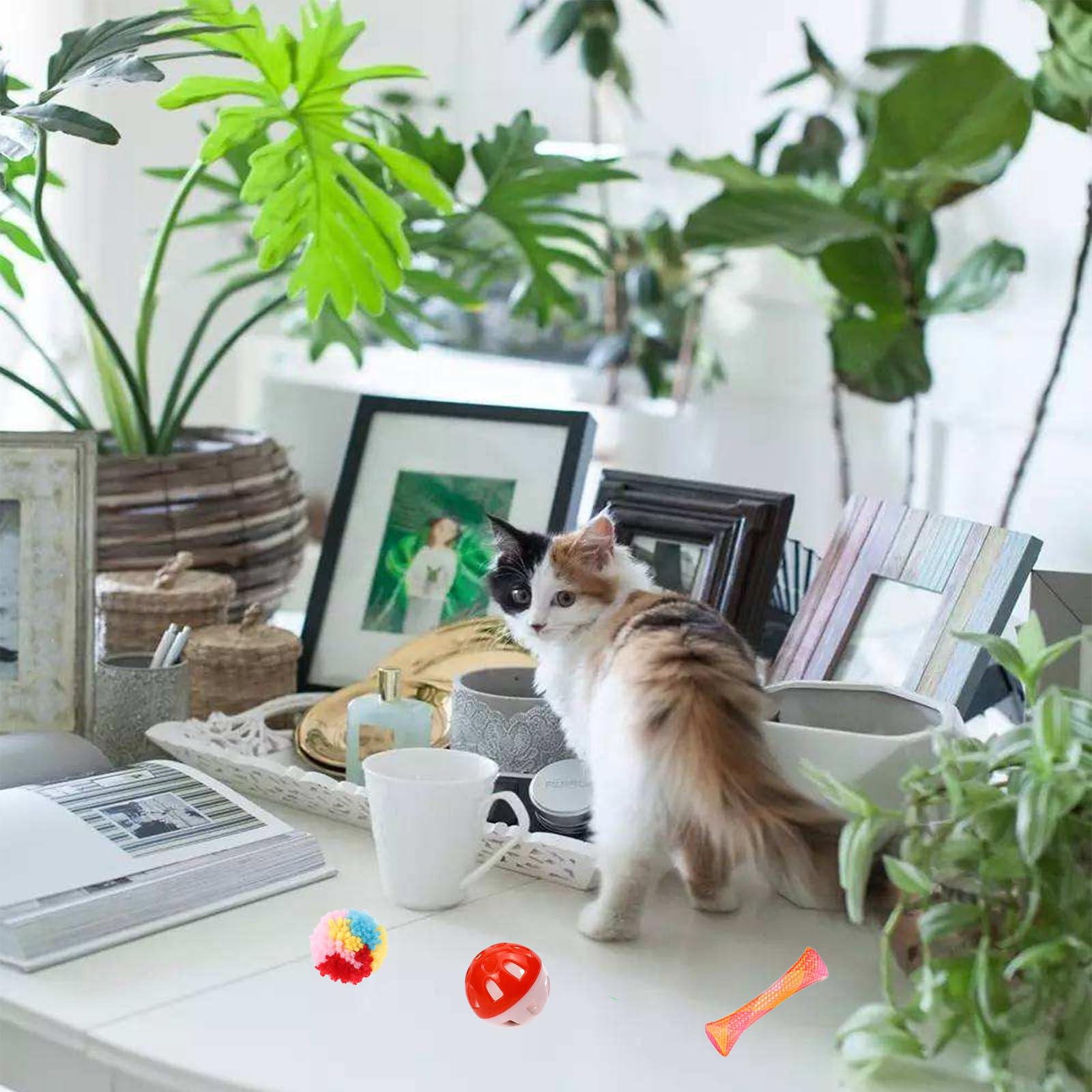 Tubes printemps KITCHSTAR pour chats, exercice et imagination