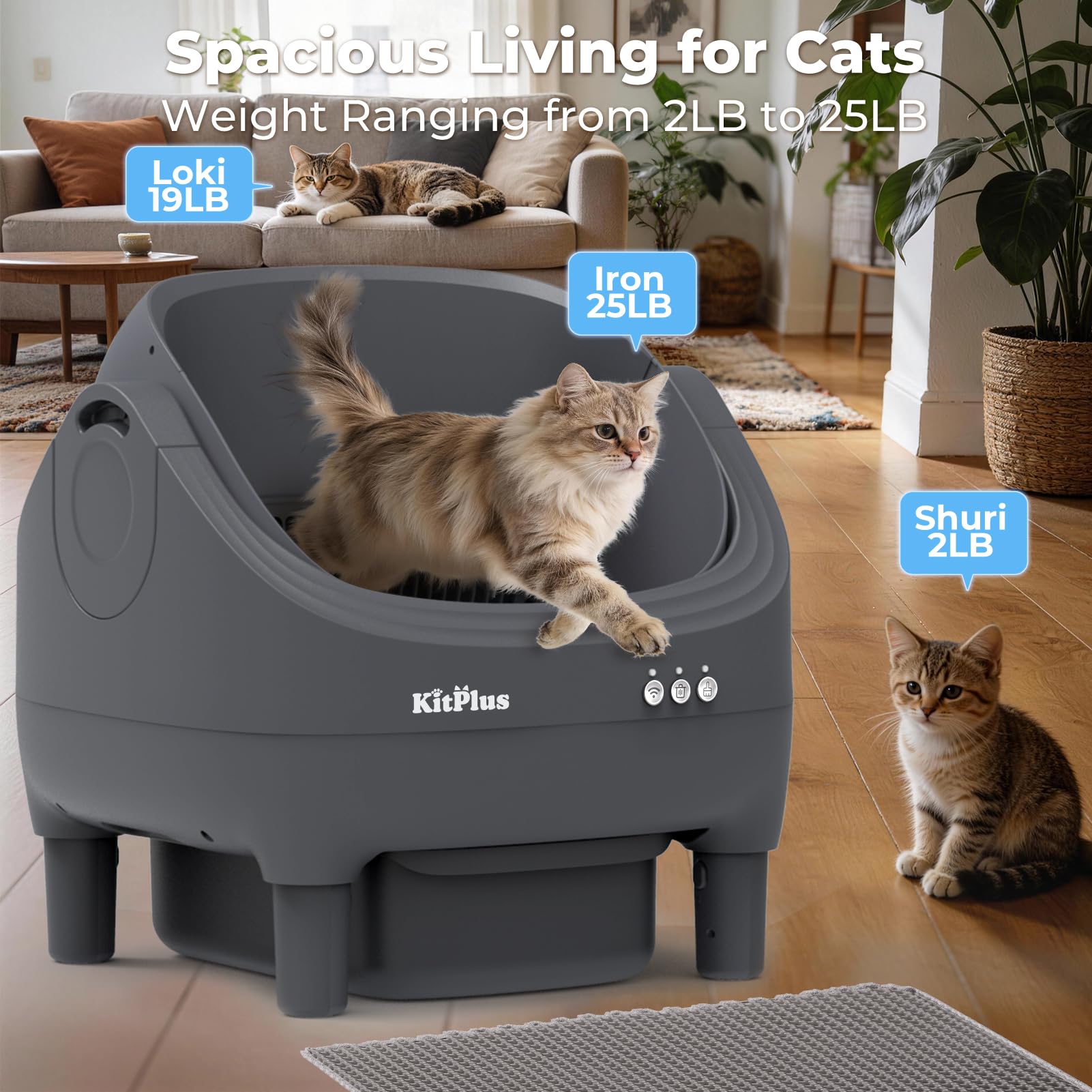 KITPLUS adapté à plusieurs chats, idéal pour familles nombreuses