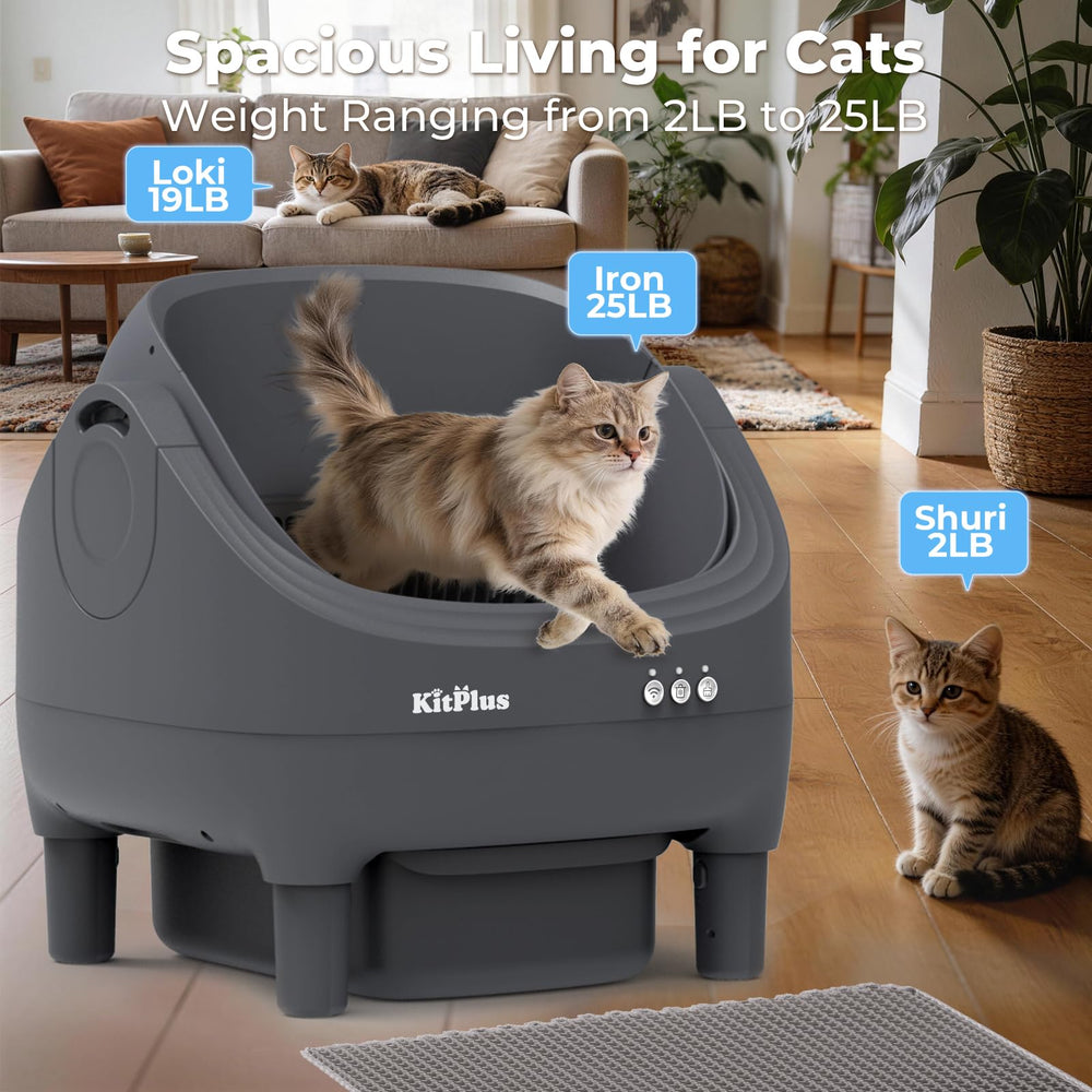 KITPLUS adapté à plusieurs chats, idéal pour familles nombreuses