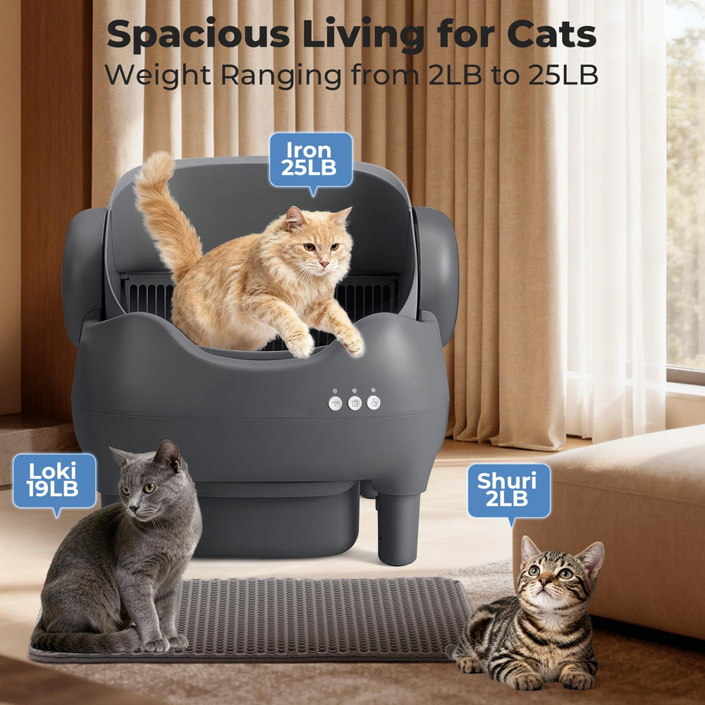 KITPLUS mode chaton sécurité, adapté même pour les plus petits