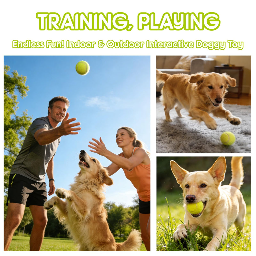 Balles de 2,58 pouces KITTAIL adaptées à toutes tailles de chiens.