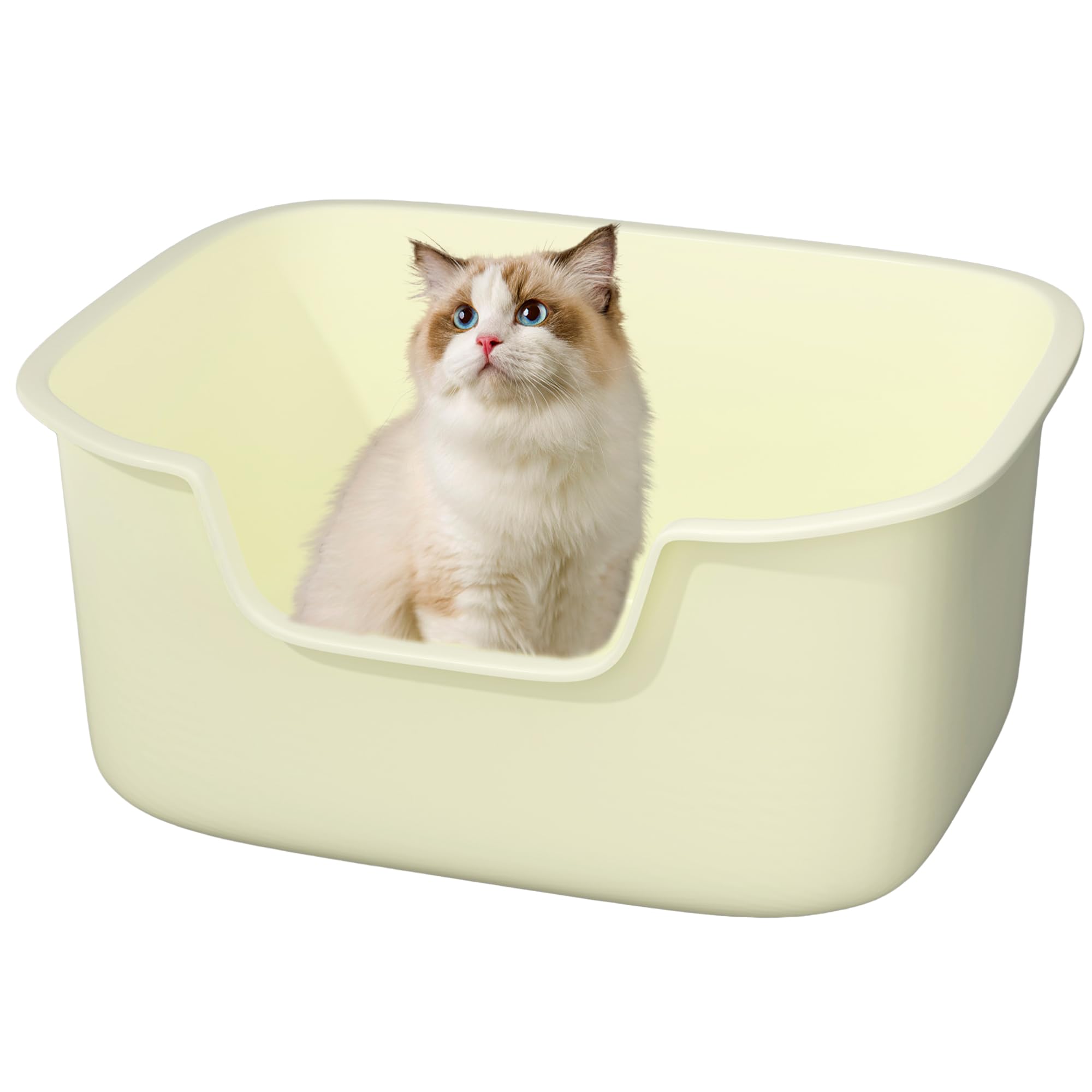 Kittenhood grand bac à litière avec rebords hauts pour éviter les éclaboussures.