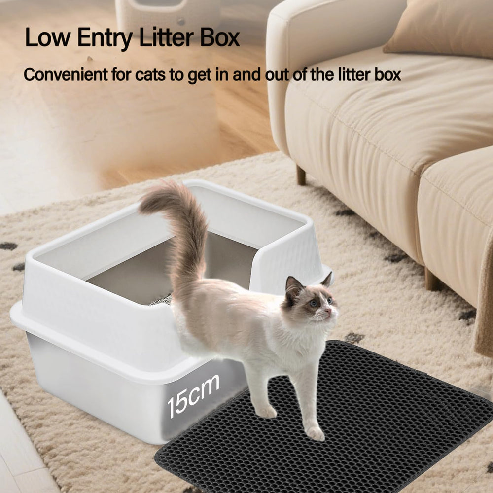 Kittenhood rebord incurvé, vue du dessus, traces minimisées.