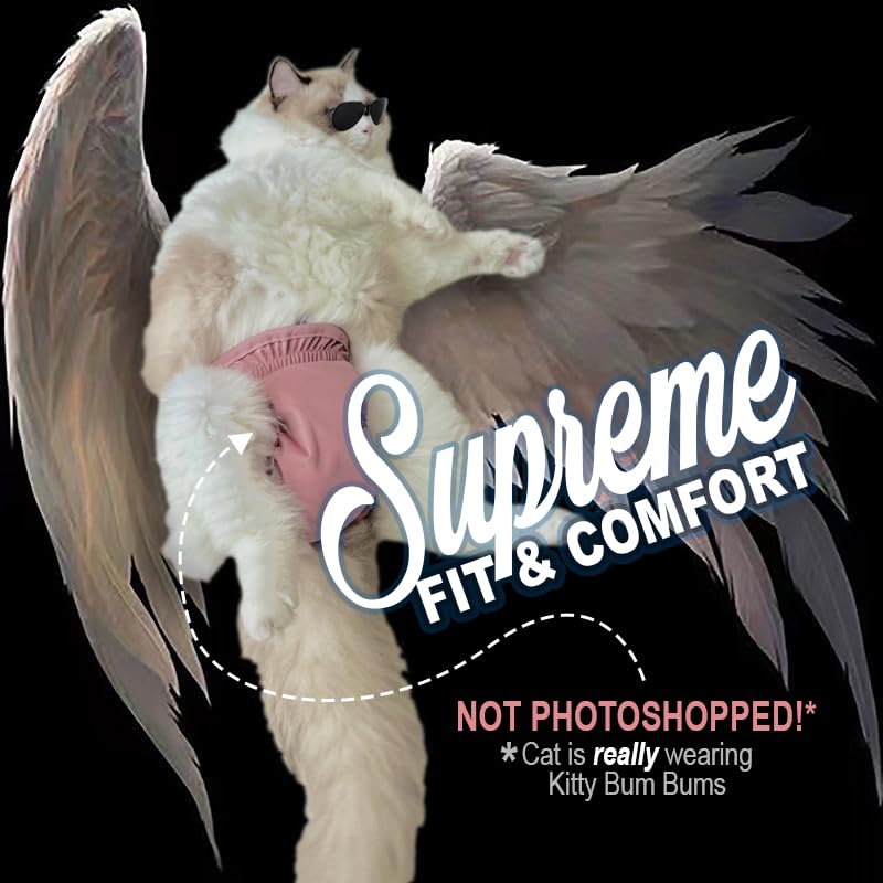 Kitty BumBums convient aussi pour chats adultes et convalescents.