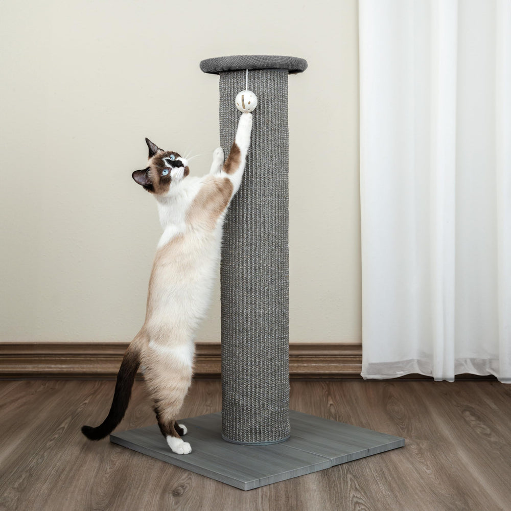 Kitty City: assemblage rapide en trois vis sans outils spéciaux