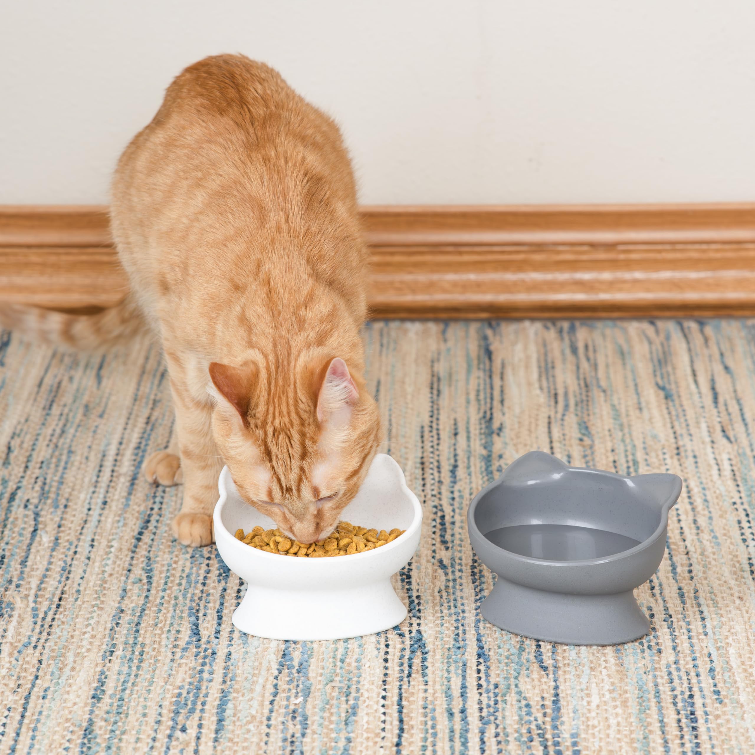 Kitty City base anti-dérapante stabilisant les bols pendant les repas.