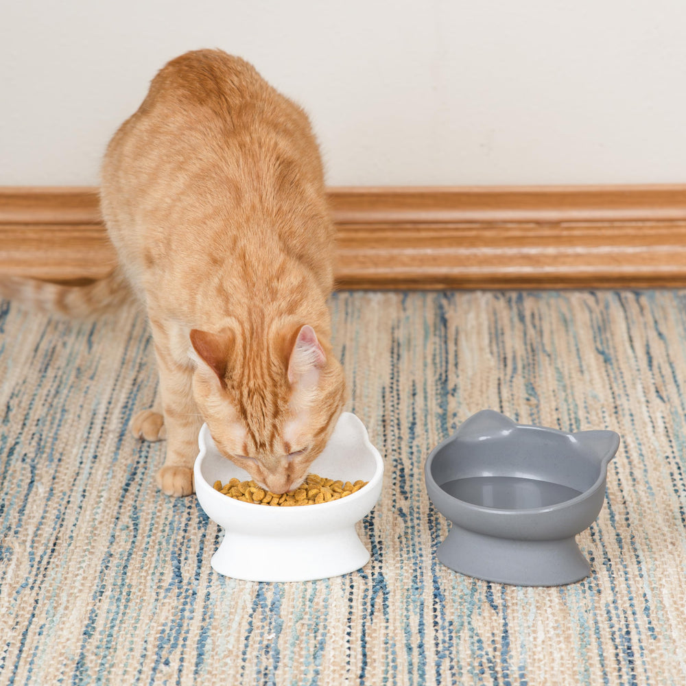 Kitty City base anti-dérapante stabilisant les bols pendant les repas.