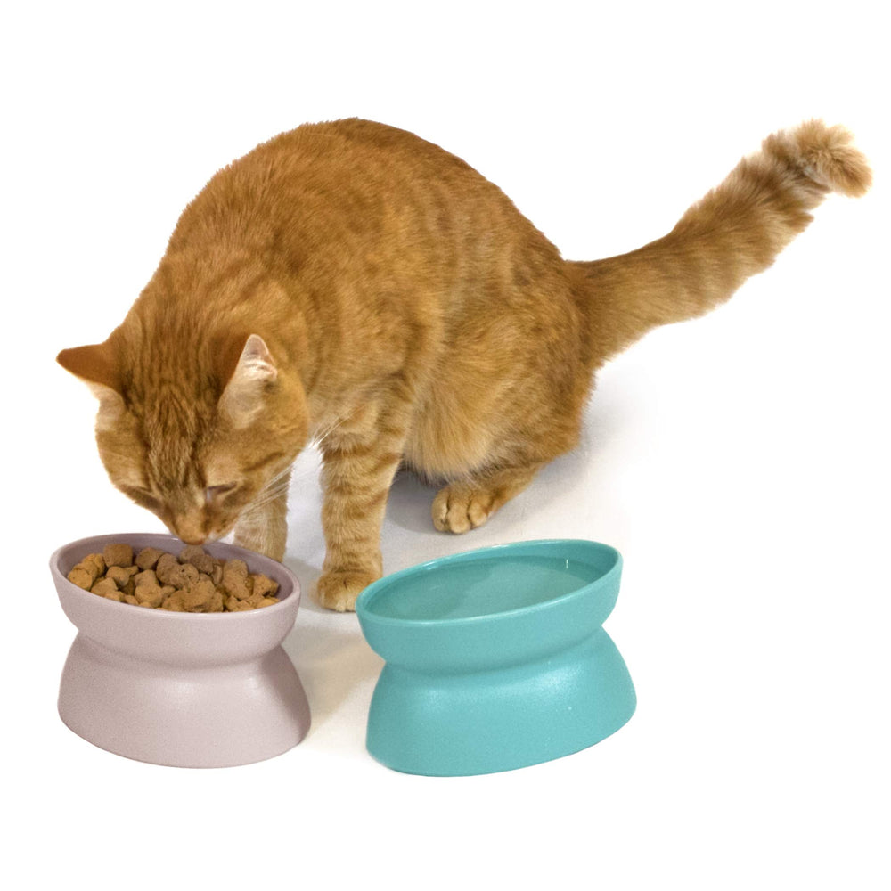 Kitty City – base antidérapante, bol stable pendant les repas.