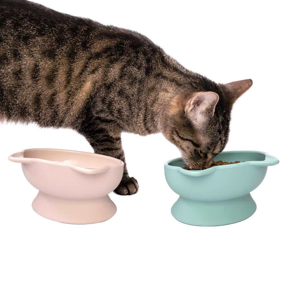 Kitty City - base antiderapante qui maintient les bols en place.