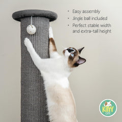 Kitty City: base solide et stable pour un griffage sûr