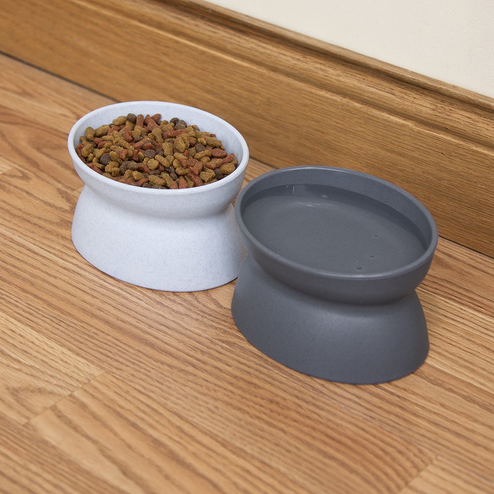 Kitty City bol lave-vaisselle et securite alimentaire.