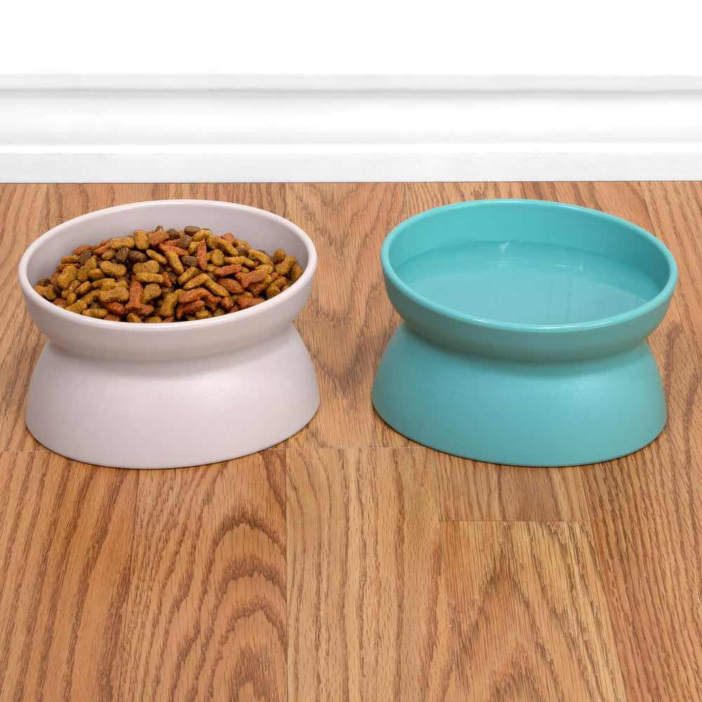 Kitty City – nettoyage facile, bol lave-vaisselle au panier supérieur.