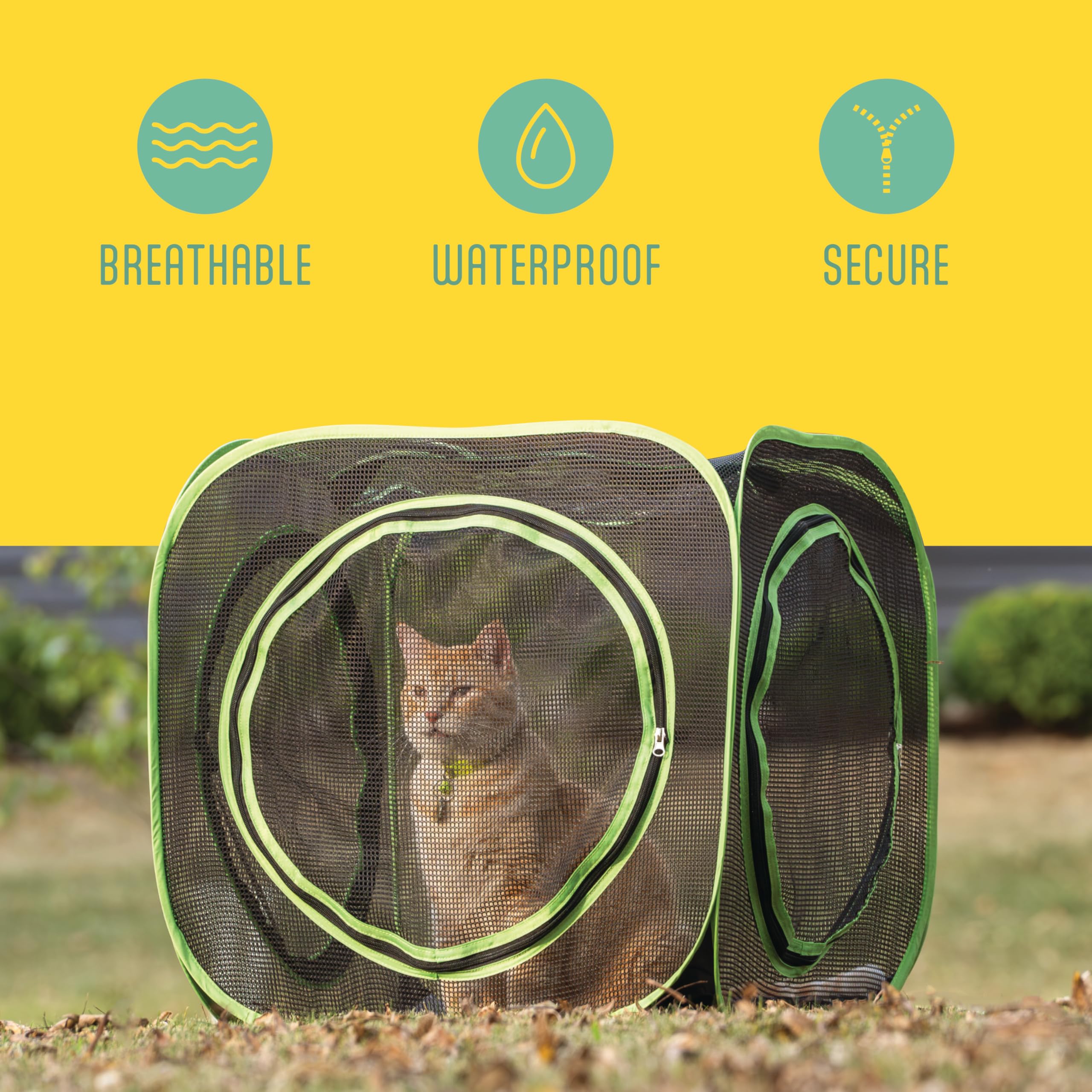 Kitty City Cube Déploiement rapide – installation sans outil pour enrichissement immédiat.