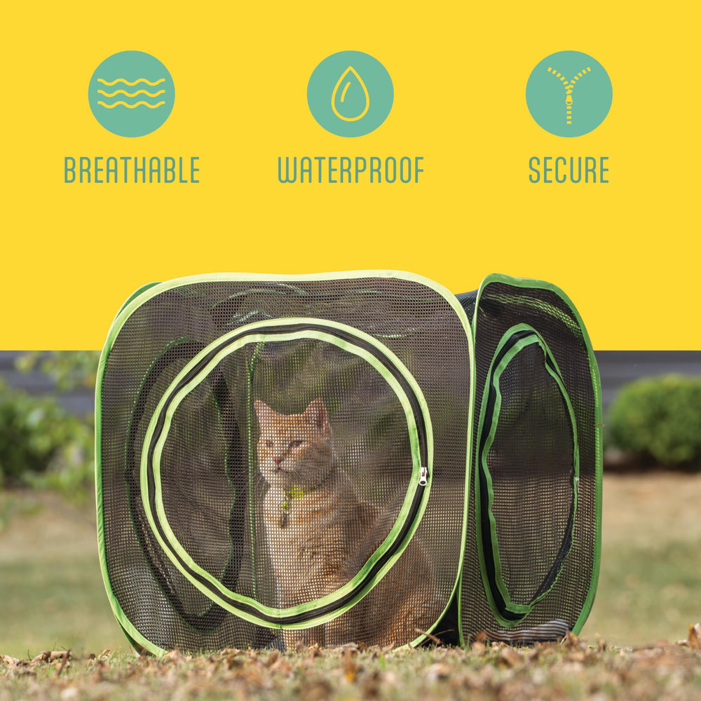 Kitty City Cube Déploiement rapide – installation sans outil pour enrichissement immédiat.
