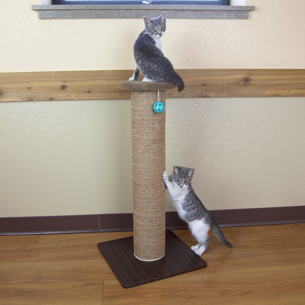 Kitty City design neutre et intégré au mobilier.