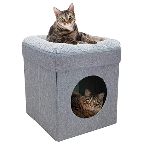 Kitty City Design Gris Neutre Petit Espace : harmonie esthétique et confort dans votre intérieur.