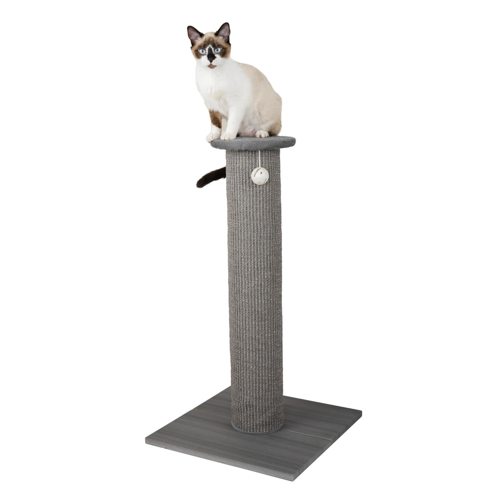 Kitty City: design gris neutre qui s intègre au décor intérieur