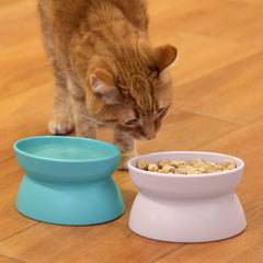 Kitty City – design de pédestal moderne pour une zone d'alimentation élégante.