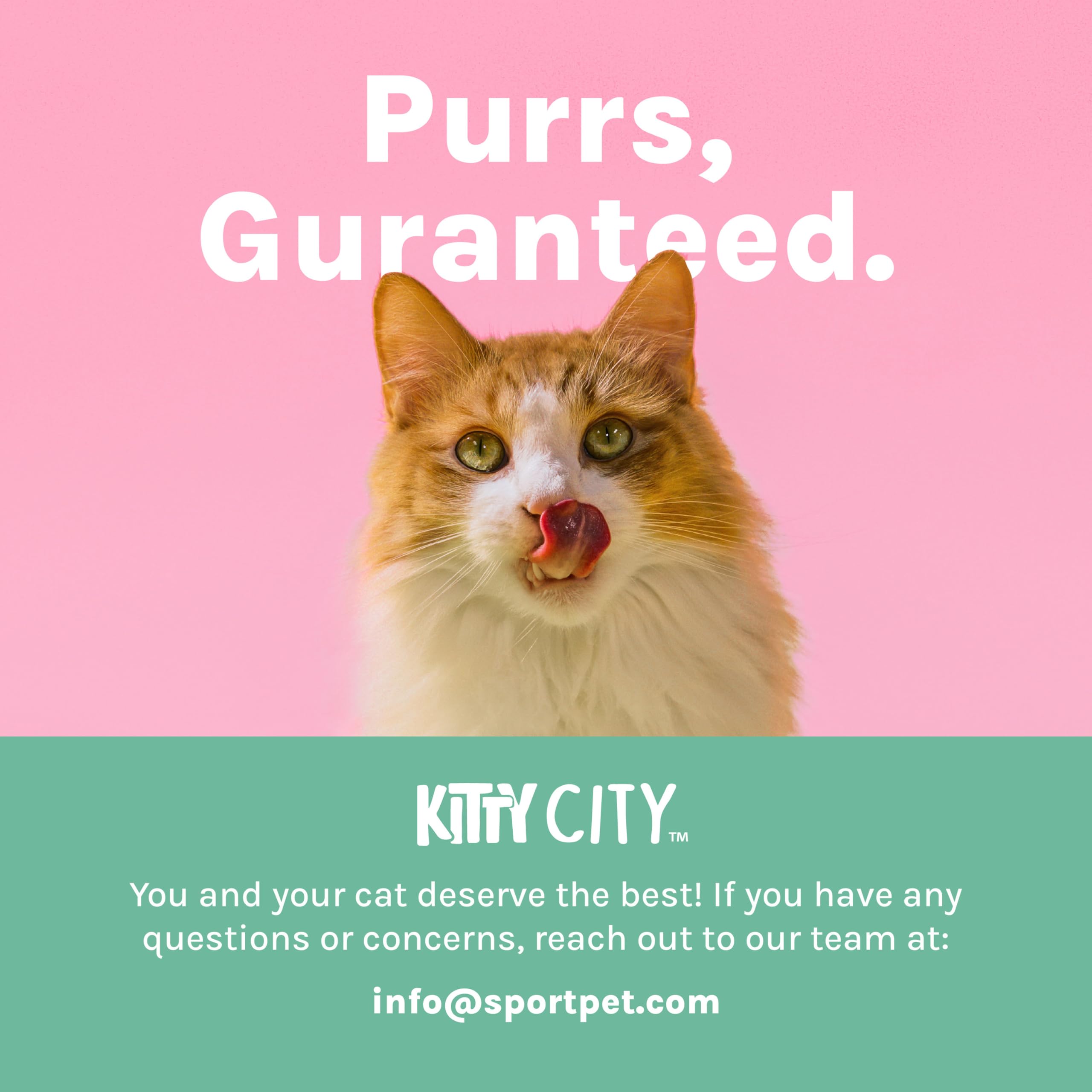 Dimensions compactes Kitty City : 14 x 19 x 5 pouces.