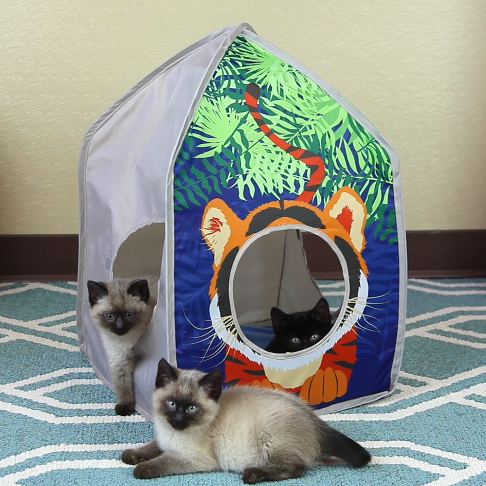 Habitat-chat au design safari pour l’observation et le jeu.