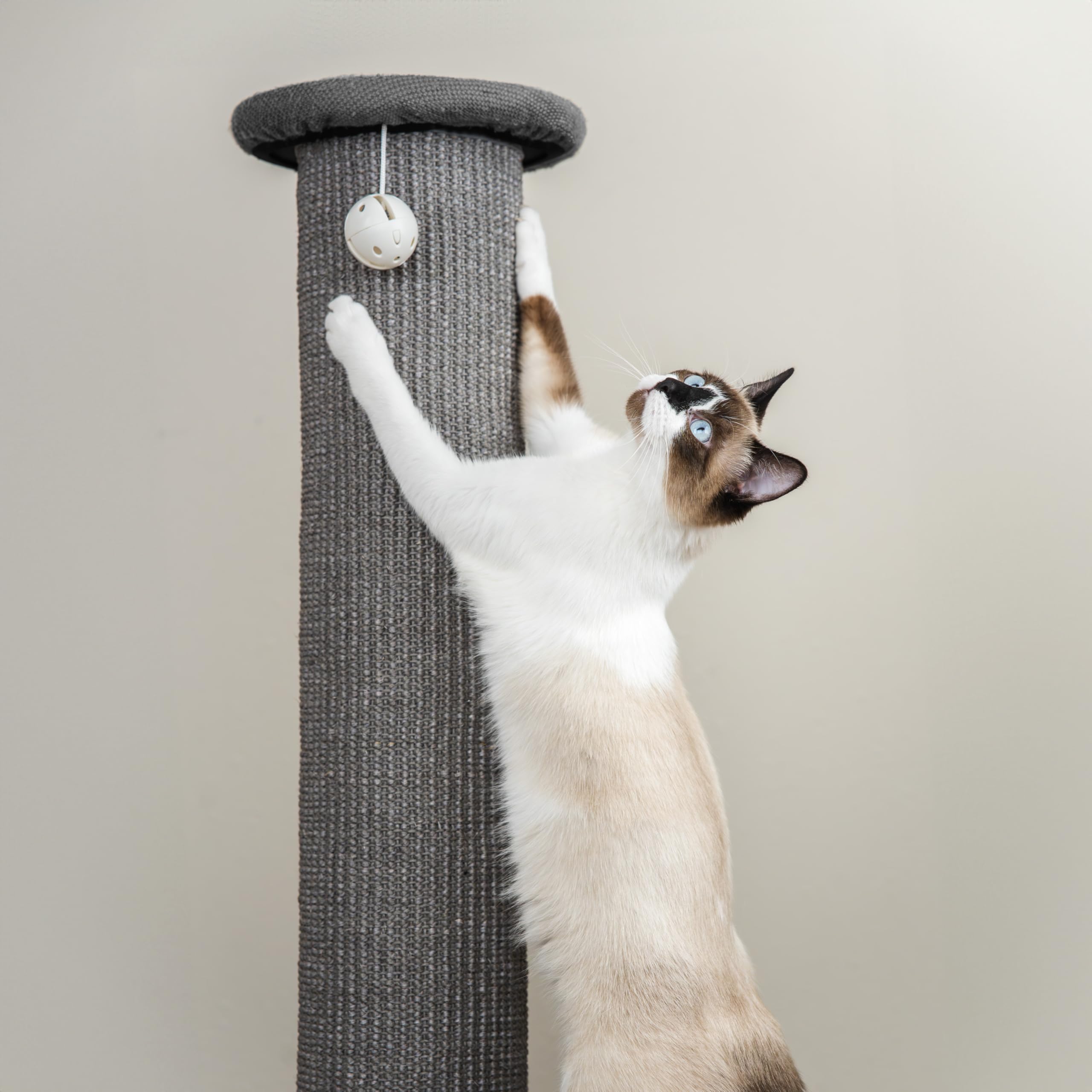 Kitty City: jouet cloche suspendu pour le jeu et la stimulation