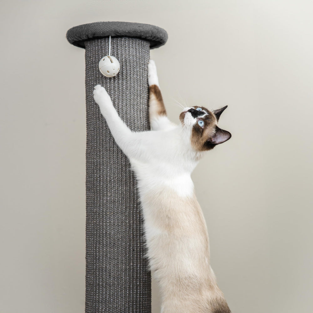 Kitty City: jouet cloche suspendu pour le jeu et la stimulation