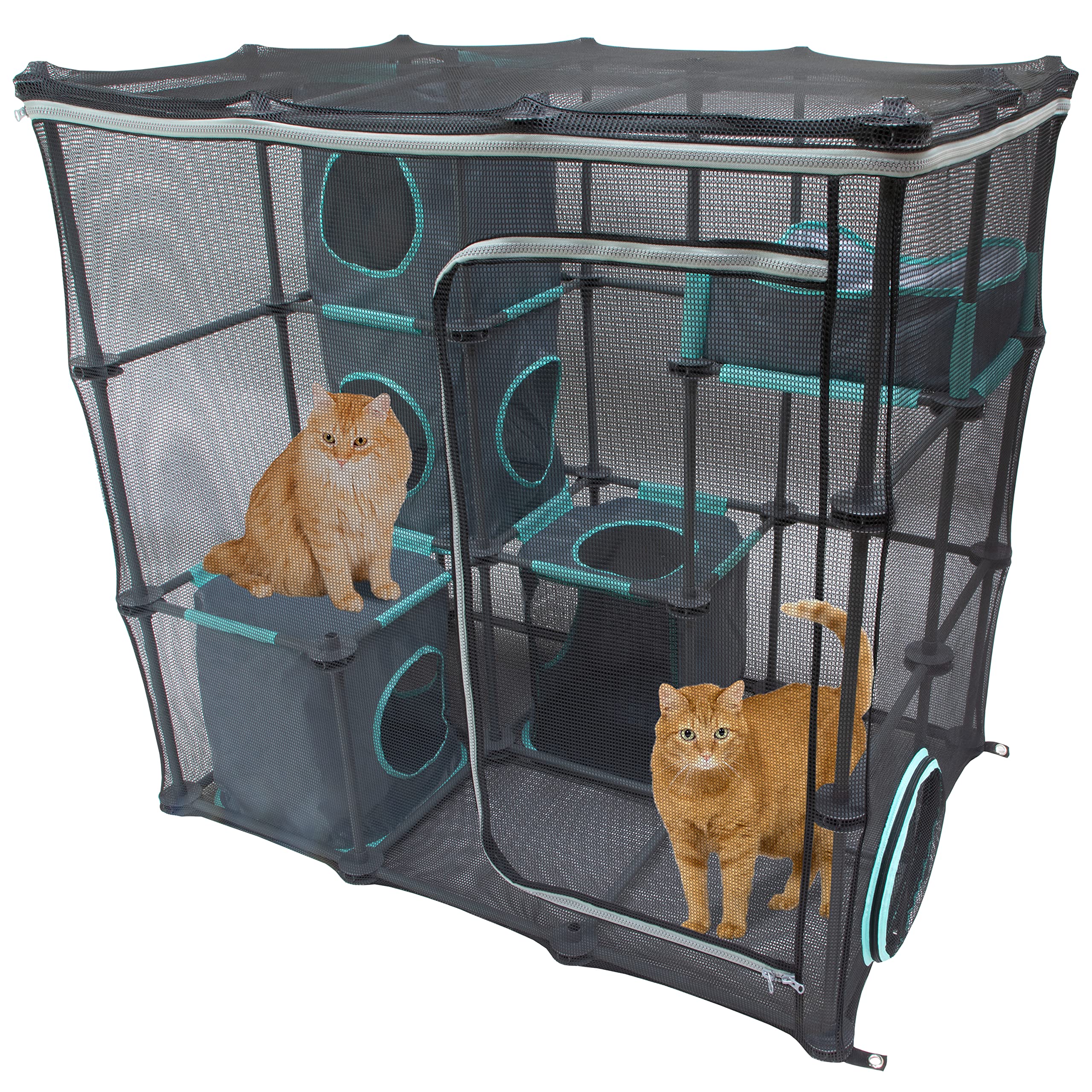 Kitty City Outdoor Catio – ensemble mega kit: espace sécurisé et lumineux pour chats.