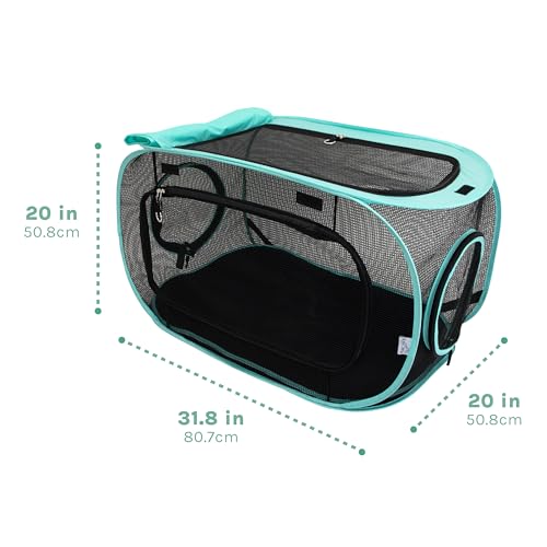 Kitty City Outdoor Kennel liseret turquoise : touche déco et ventilation agréable.